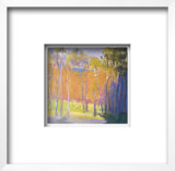 Clearing Capriccio, c.2001