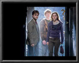 Buy Harry Potter and The Deathly Hallows Part 1 - Harry, Ron and Hermoine Photo at AllPosters.com