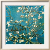Almond Branches in Bloom, San Remy, c.1890