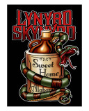 Lynyrd Skynyrd Stretched Canvas Print