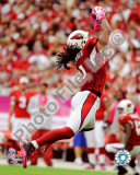 Larry Fitzgerald 2010 Action