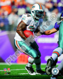 Ricky Williams 2010 Action