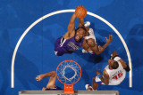 Sacramento Kings v Los Angeles Clippers: Carl Landry