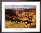 Buy Canyon Mustangs at AllPosters.com