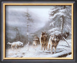 Search for Survival