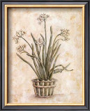 Buy White on White I at AllPosters.com
