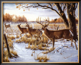 Cautious Crossing