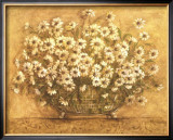 Buy So Many Daisies at AllPosters.com