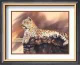 Lounging Leopard