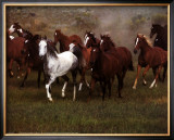 Wild Horses