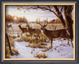 Cautious Crossing