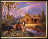 Deer Near Cabin