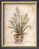 Buy White on White II at AllPosters.com