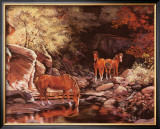 Buy Autumn Blaze at AllPosters.com