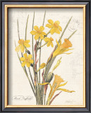 Buy March Daffodil at AllPosters.com
