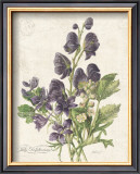 Buy July Delphinium at AllPosters.com