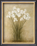 Floral Sprays