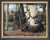 Autumn’s Majesty