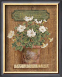 Buy Petunia at AllPosters.com