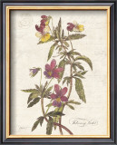 Buy February Violet at AllPosters.com