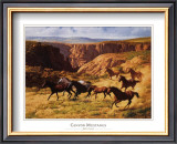 Buy Canyon Mustangs at AllPosters.com