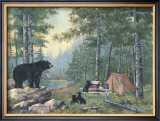 Bears