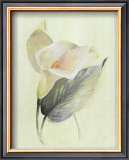 Buy Calla Lily III at AllPosters.com