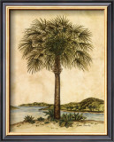Buy Palm Paradise II at AllPosters.com