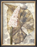 Buy Amazonia III at AllPosters.com