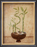Buy Bamboo, Luck at AllPosters.com