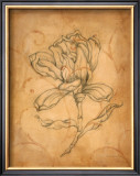 Buy Pencil Sketch Floral IV at AllPosters.com