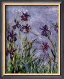 Buy Irises at AllPosters.com