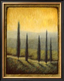 Buy Morning Path II at AllPosters.com