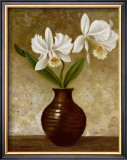 Buy Flowering Orchid at AllPosters.com
