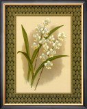 Buy Classic Orchids IV at AllPosters.com