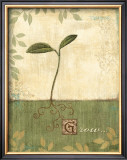 Buy Grow and Bloom I at AllPosters.com