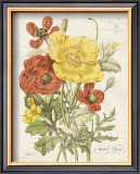 Buy August Poppy at AllPosters.com