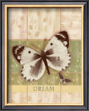 Dream
