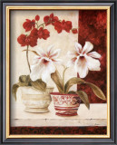 Red Orchids