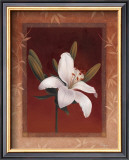 Buy Tiger Lily at AllPosters.com