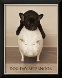 Buy Dog Day Afternoon at AllPosters.com