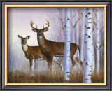 Deer in Birch Woods