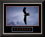 Buy Bald Eagle at AllPosters.com