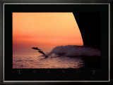 Buy Flight at AllPosters.com