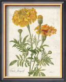 Buy October Marigold at AllPosters.com