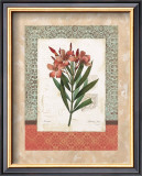 Buy Laurier Rose at AllPosters.com