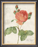 Buy June Rose at AllPosters.com