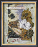 Buy Islands of the Caribbean at AllPosters.com