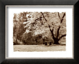 Buy Arboretum Gardens at AllPosters.com