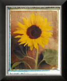 Buy Sunflowers at AllPosters.com